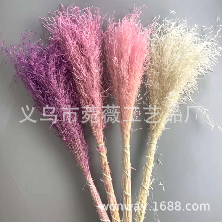 Natural plant preserved dried flowers, imported wind-driven grass handicrafts, flower arrangement, floating bottle, keychain with grass pic 1
