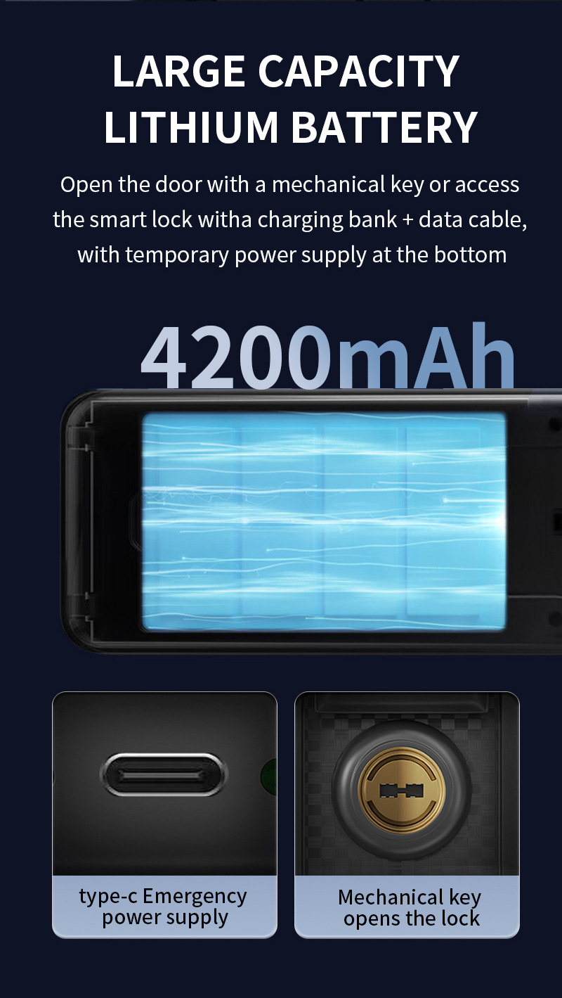 Graffiti fully automatic fingerprint lock, household security door, password lock, facial recognition smart lock, remote electronic lock pic 9