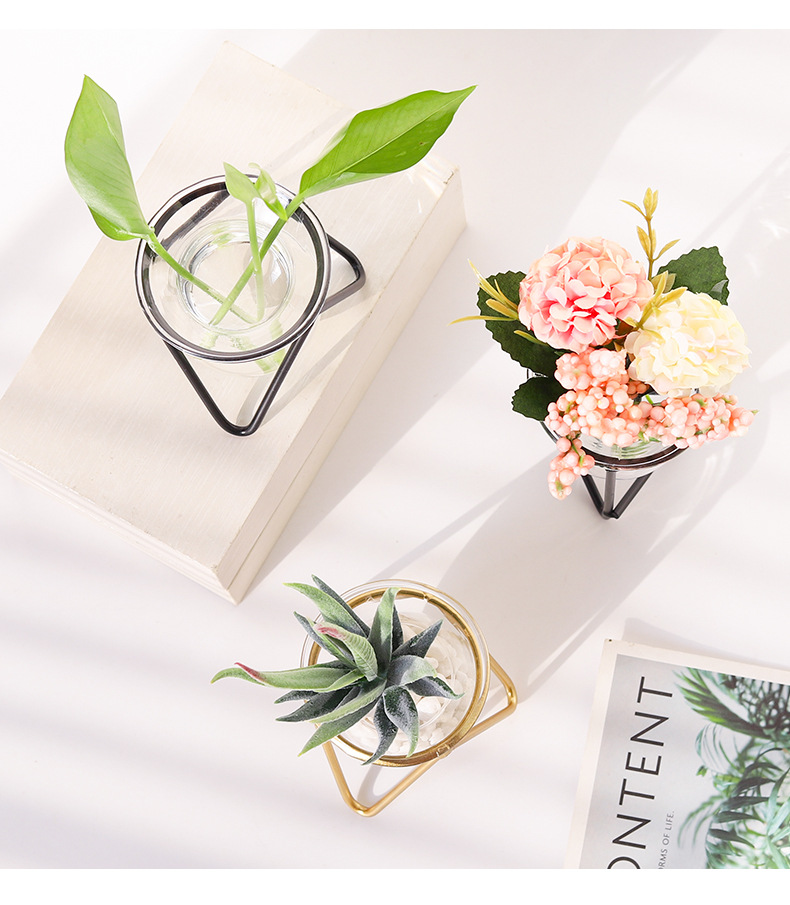 Nordic ins metal, ironwork, glass, hydroponic container, flower arrangement, creative home and office desktop flower arrangement pic 28
