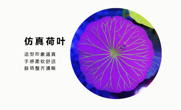 Baojie fish tank landscape decoration, simulation aquatic plants, coral, fluorescent ornamental fish tanks, aquarium products wholesale for foreign trade pic 38