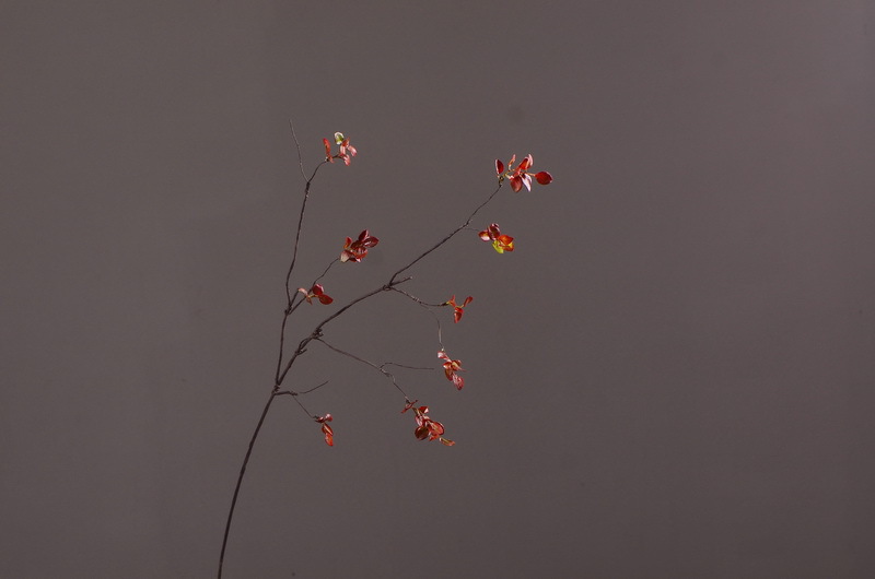 Flower Knowledge, simulating spring rain leaves, New Chinese-style Zen-inspired soft furnishings, flower leaf materials, simulating touch, autumn leaves, home decorations, floral art pic 19