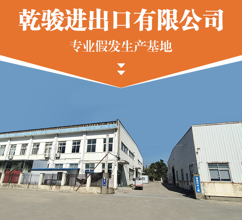 Autumn and winter new style baseball cap wig women one-piece synthetic long straight hair fashion wigs foreign trade source supplier pic 2