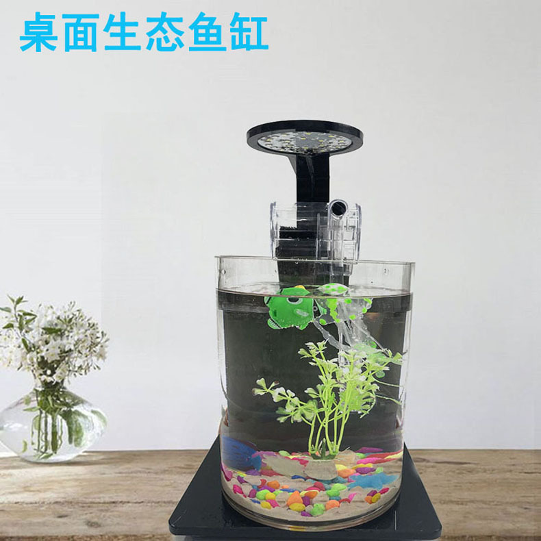 Ecological bottle micro-landscape, small office desktop, fish tank landscaping, fighting fish, glass tank, aquarium living room creativity pic 2