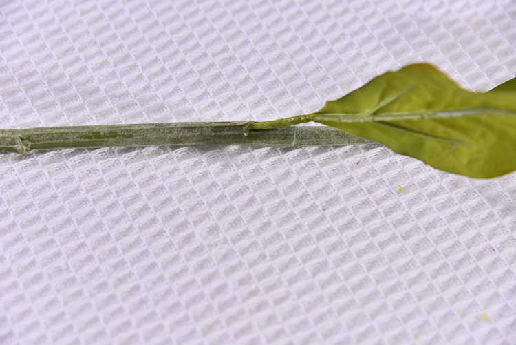 Dongli Yiwu Source Quality Products, high-end artificial flowers, hanging chicken tail tassels wholesale, artificial reeds, artificial flowers, artificial green plants, mouse tail model house home decorations pic 14