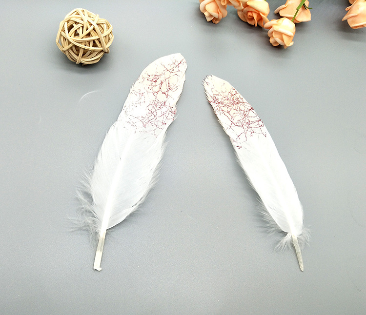 A large quill feather gift box with all-gold and all-silver feathers, paper card bookmarks and decorative quill pens pic 66