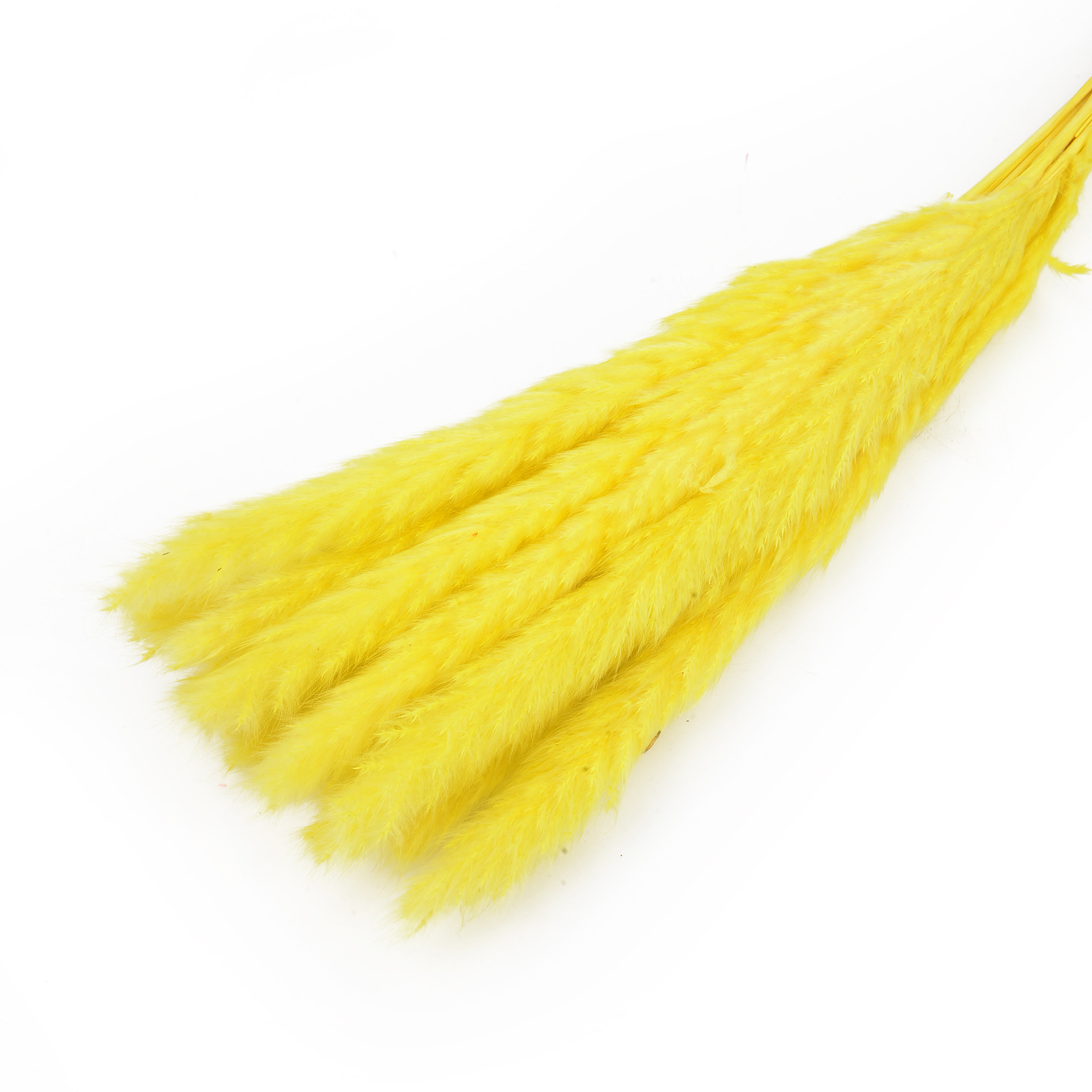 永生花小芦苇干花花束批发ins风家居装饰小芦苇厂家批发                                 详情5