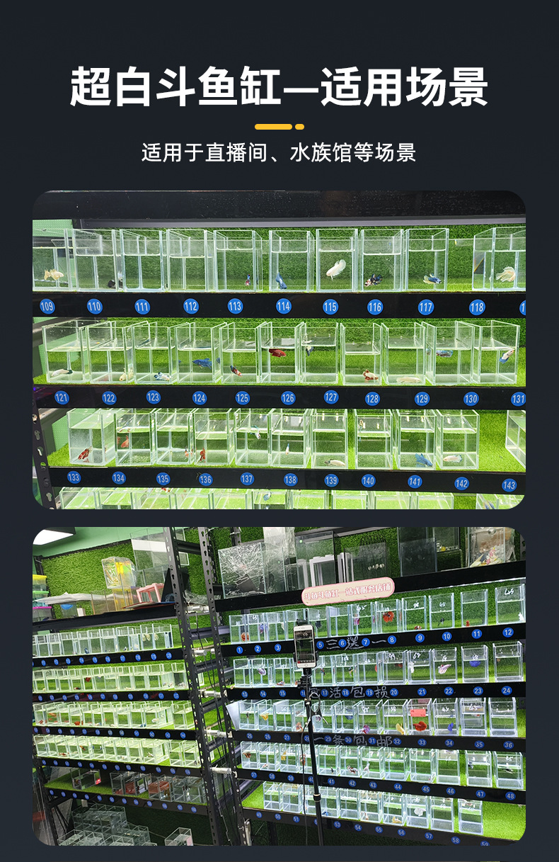 The manufacturer supplies Thai betta fish display fish tanks, golden crystal ultra-white glass small fish tanks, tabletop small fish tanks and betta fish tanks pic 10