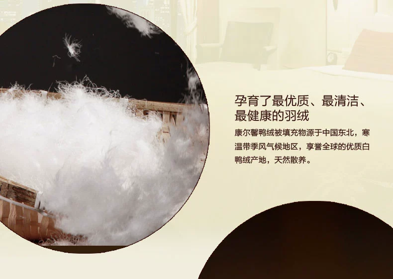 Shefan five-star hotel supplies duck down quilts, down quilt cores, thickened warm quilts pic 13