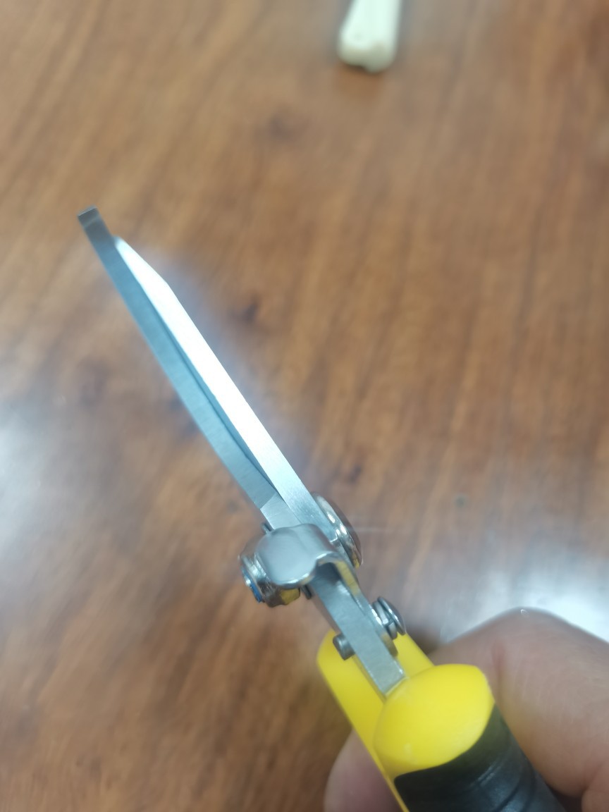树枝剪园艺剪果枝剪强力枝剪不锈钢铁皮剪加厚工具剪阳江厂家直销详情9