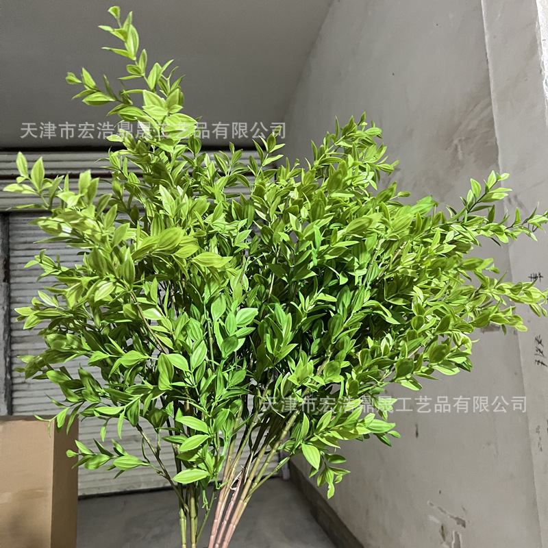 4c54611e1b2ac483d61c72129fad01
