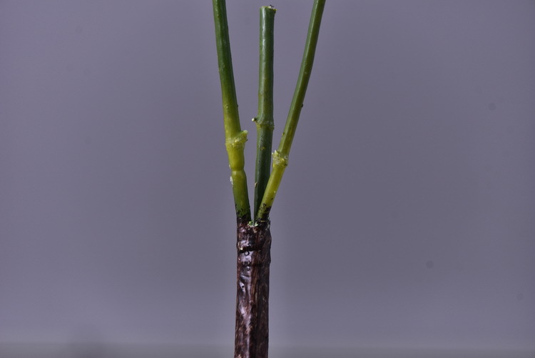 Factory direct sales of artificial bamboo leaves, new Chinese style Zen-like artificial leaves wholesale, 2-prong bamboo leaves, flower and leaf materials, green plants, Lanjin artificial plants pic 8