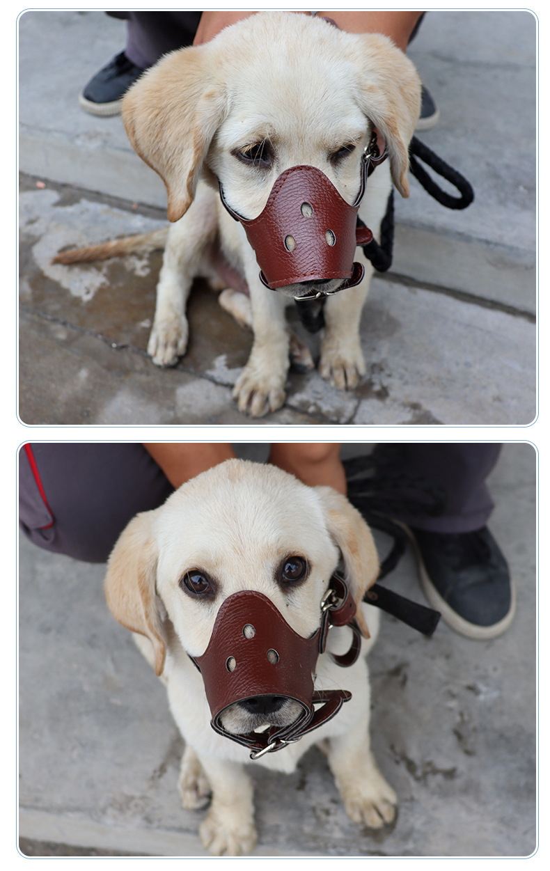 Pet muzzles for safe and anti-biting when going out. High-quality and durable dog muzzles that prevent barking and barking. Pet muzzles pic 10