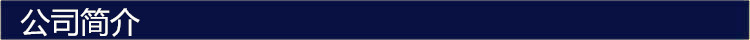 公司简介