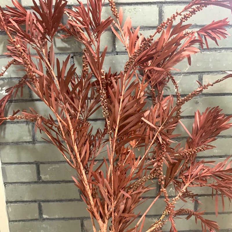 微信图片_20200822151007