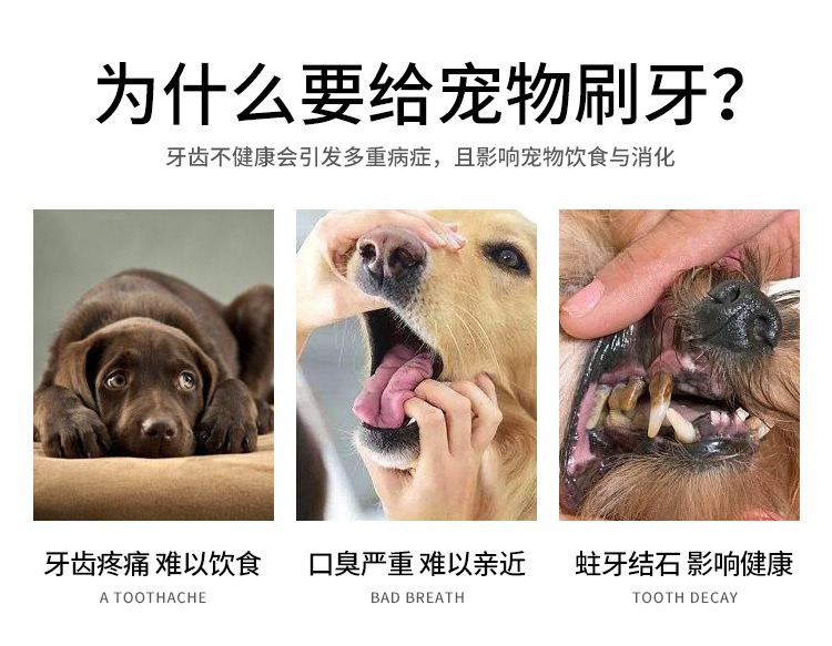 亚马逊新品宠物手指牙刷猫狗口腔清洁牙刷防牙结石清洁用品批发详情3