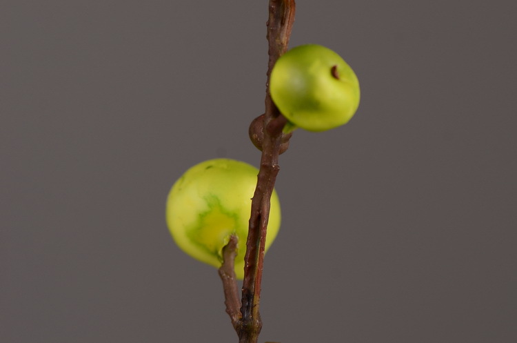 Artificial rosehip, artificial plant fruit, berry, American decorative floral arrangement materials, photography props pic 30