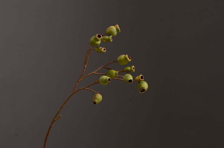 Dongli Flower Industry, the original manufacturer, is now wholeselling vintage decorative pipe fruit artificial flowers, artificial flowers, table flowers, artificial berries, zombie fruits, eucalyptus fruits, and offers one-piece consignment pic 8