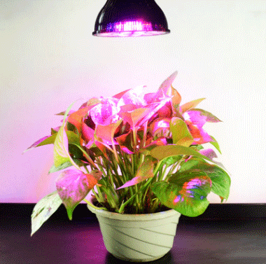 LED plant growth lamp 18*3W plant lamp, plant production supplementary light, indoor supplementary light, greenhouse growth lamp pic 7