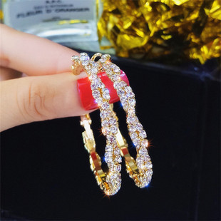 Zircon leaf earrings, long and elegant, versatile earrings S925, exquisite earrings design sense, beautiful stud earrings for women B460 pic 13