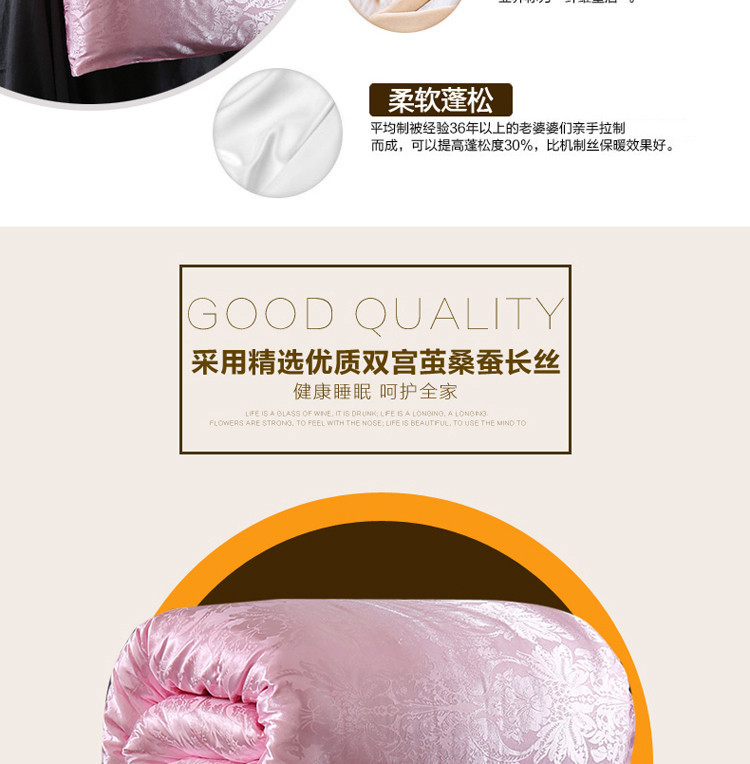 ywxuege Antarctic People Hotel Down Quilt 95 Goose Hanging thickened Warm Winter Quilt Core Single and Double Light Luxury Gift Quilt 20220706 pic 3