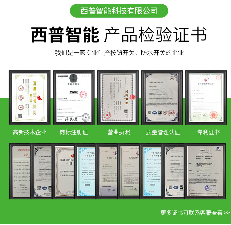 CMP Xipu 16MM metal toggle switch rocker arm with light, two-position waterproof toggle switch rocker pic 17