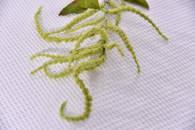 Dongli Yiwu Source Quality Products, high-end artificial flowers, hanging chicken tail tassels wholesale, artificial reeds, artificial flowers, artificial green plants, mouse tail model house home decorations pic 11