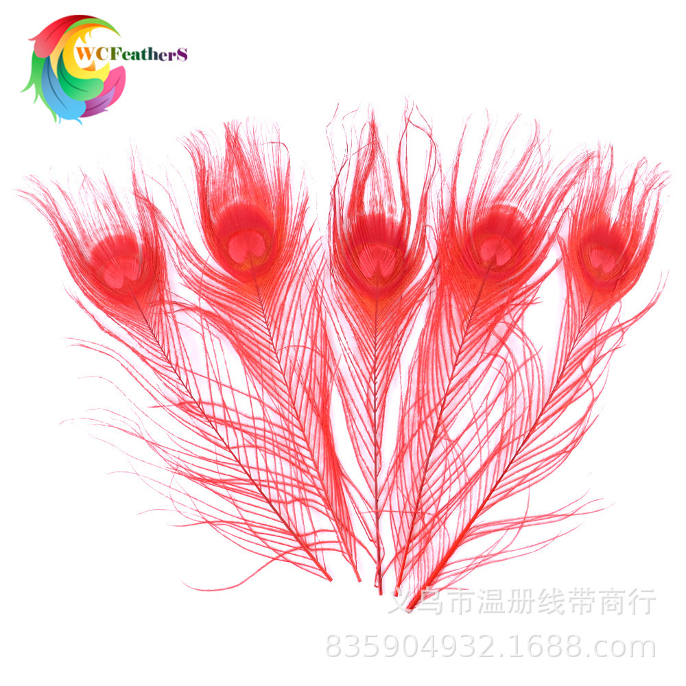 温册厂家直销天然孔雀羽毛DIY家居花瓶装饰婚庆道具新娘胸花材料详情14