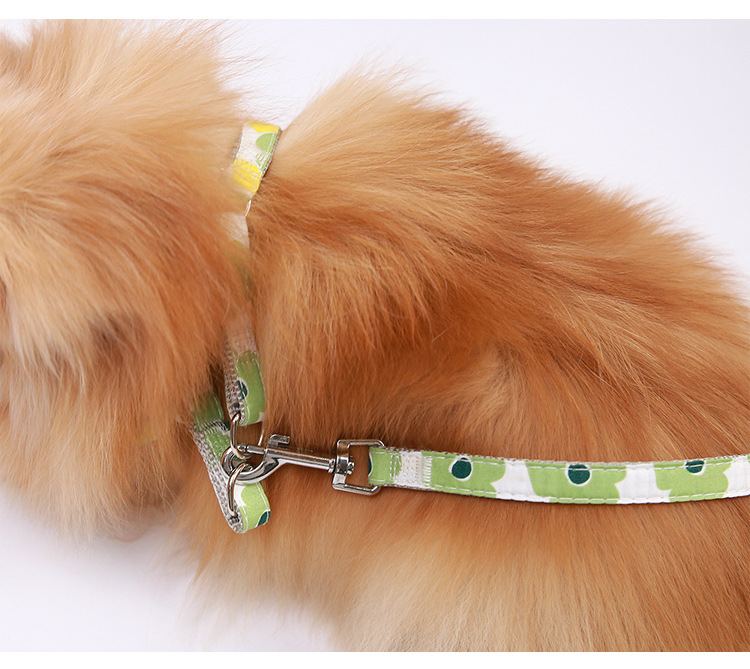 Pet supplies, pet supplies, pet dog leashes, fresh and clean printed dog walking leashes, dog leashes, adjustable dog leashes, dog carriers pic 15