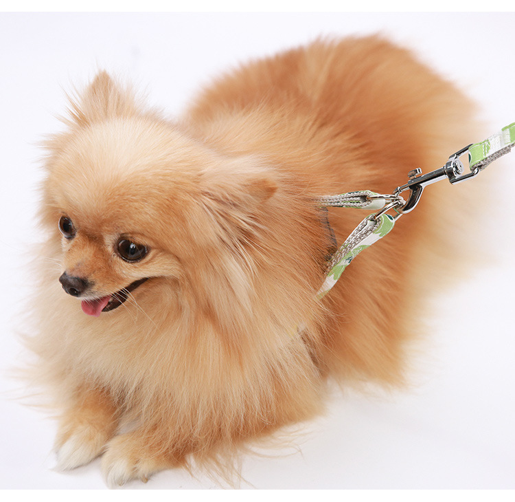 Pet supplies, pet supplies, pet dog leashes, fresh and clean printed dog walking leashes, dog leashes, adjustable dog leashes, dog carriers pic 14