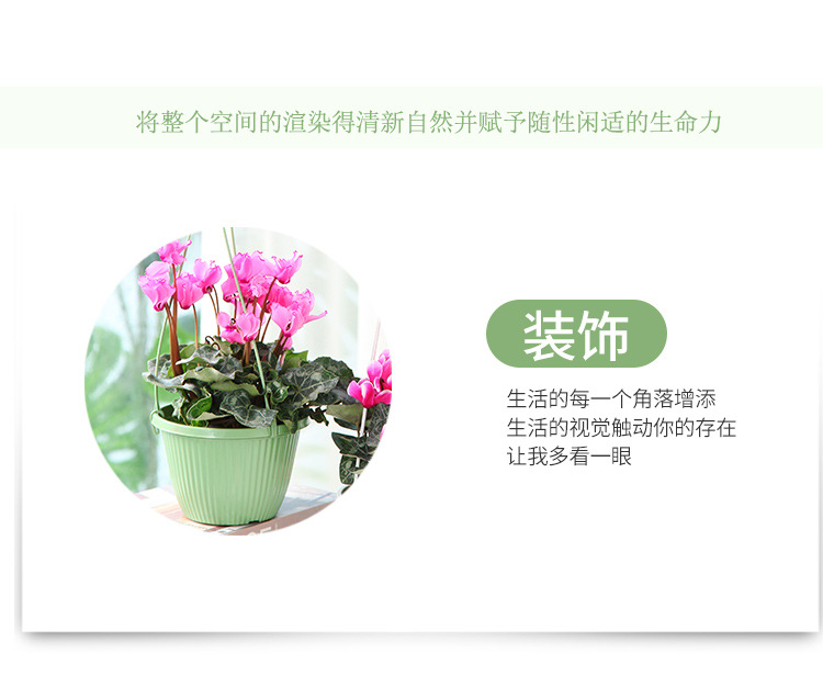 Wholesale Xiaoguoting B165 fishing hook hanging basket flower POTS, brand new material hanging green ivy special indoor flower POTS pic 4