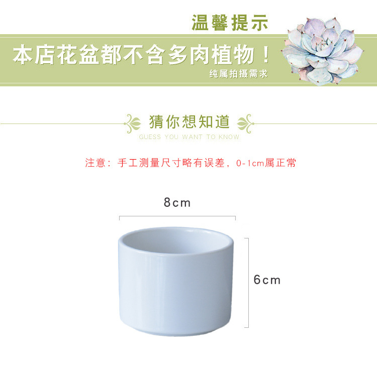 陶瓷花盆跨境白瓷多肉植物小花盆批发简约园艺多肉盆可印LOGO厂家详情4