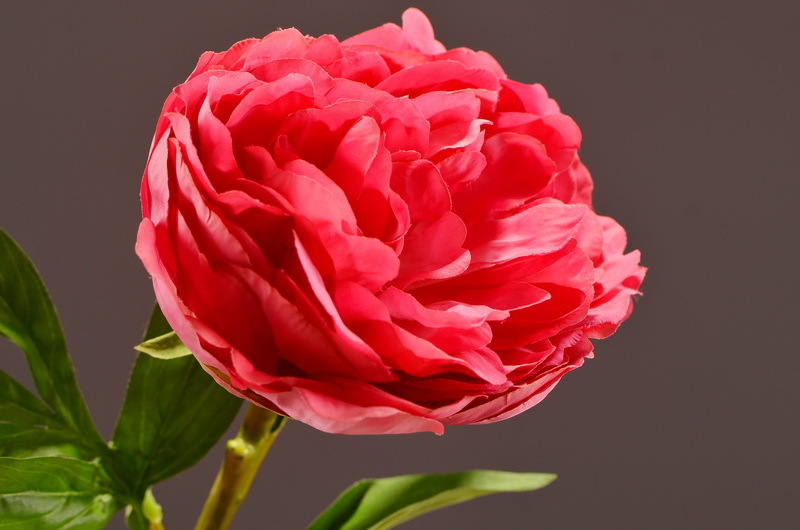 Wholesale of artificial large-branch peonies for home, hotel, restaurant soft decoration, artificial flowers and artificial paeonies from the manufacturer pic 17