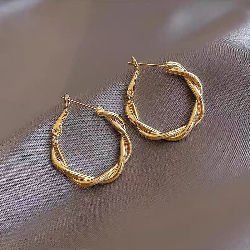 High-end, light luxury metal earrings for women, new style in 2025, with a unique and niche design. Stylish Korean earrings pic 18