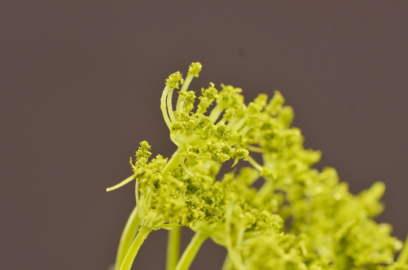 Wholesale of artificial lace and artificial green plants from the original factory, flower arrangement materials, and artificial plants for home, hotel, wedding and decoration pic 19