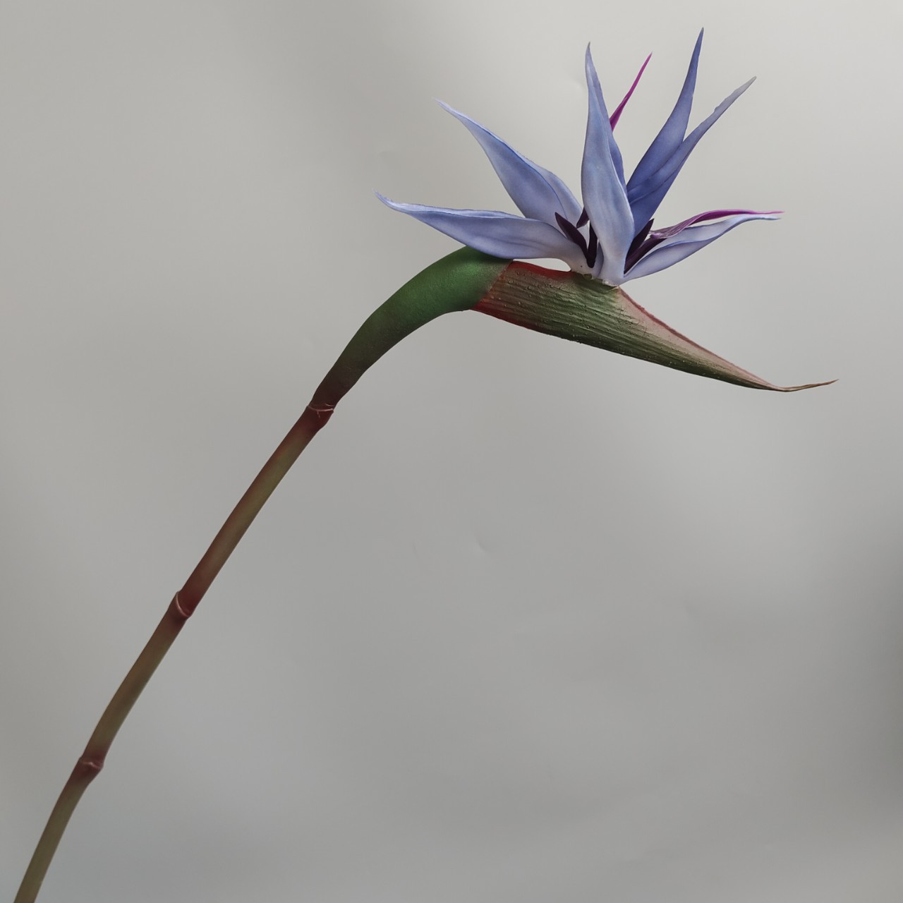 Soft rubber paradise Bird Crane Orchid New Chinese-style home model room decoration design, overseas wedding photography artificial flower pic 24