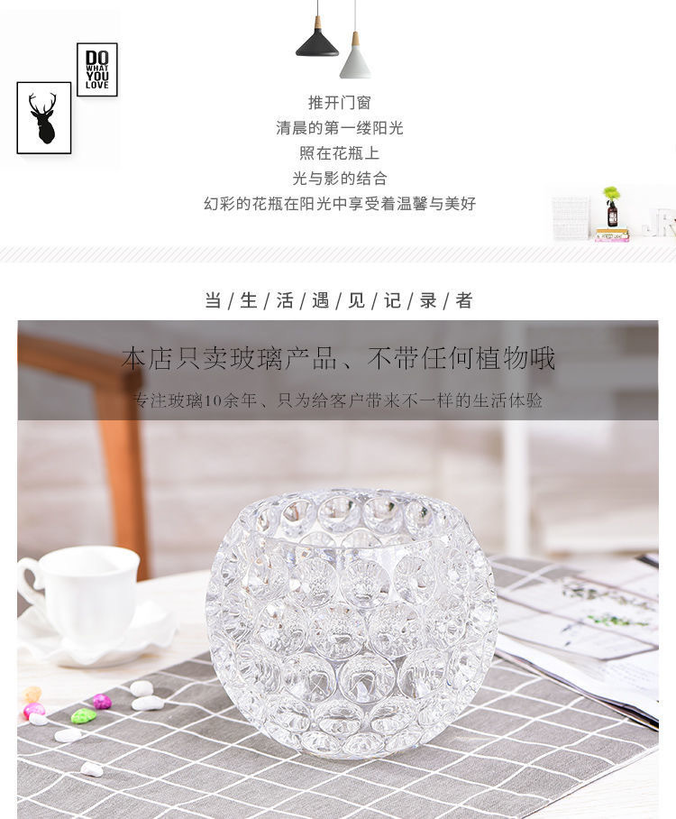 Hydroponic plant glass bottles, round glass vases, transparent green ivy and duck intestines containers, hydroponic flowerpots, vessels and containers pic 4