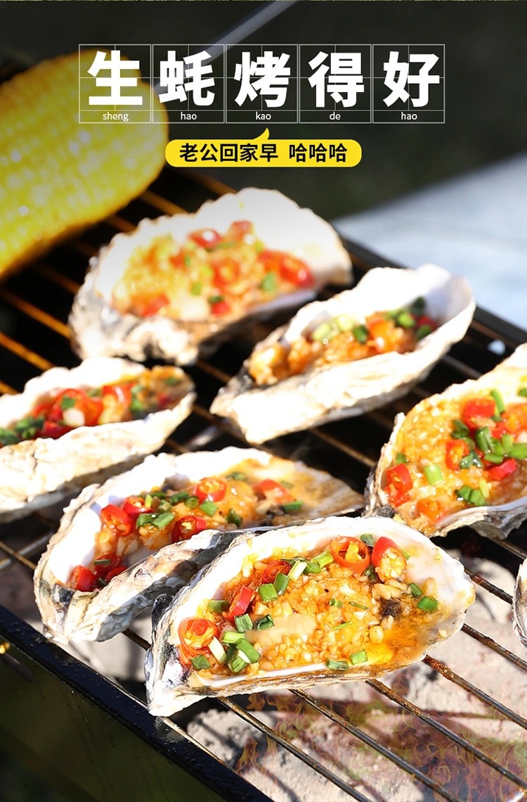 Thickened barbecue grill, household charcoal barbecue rack, outdoor carbon grill, large outdoor barbecue grill, indoor utensils for bbq pic 7