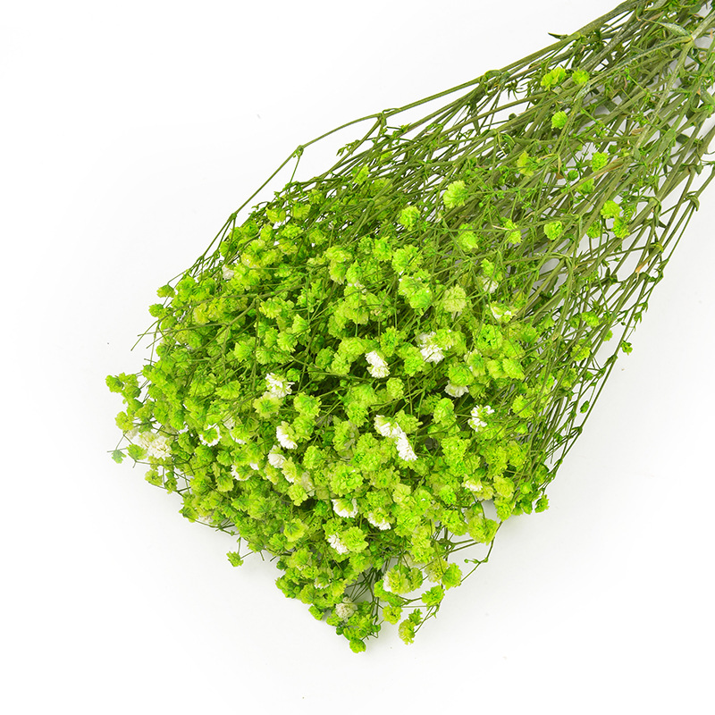 永生花满天星批发吸色满天星干花花束婚庆手捧花家居装饰插花花材                              详情8