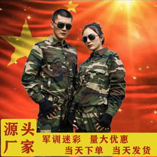 批发军大衣棉服户外保安反光条大衣防寒服棉袄男加厚保暖冷库棉袄详情13
