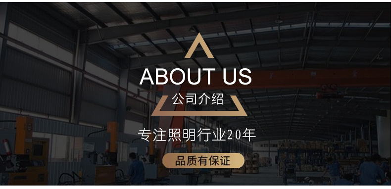 爆款欧式客厅高档水晶水果盘椭圆家居桌面收纳盘奢华法国红酒托盘详情23