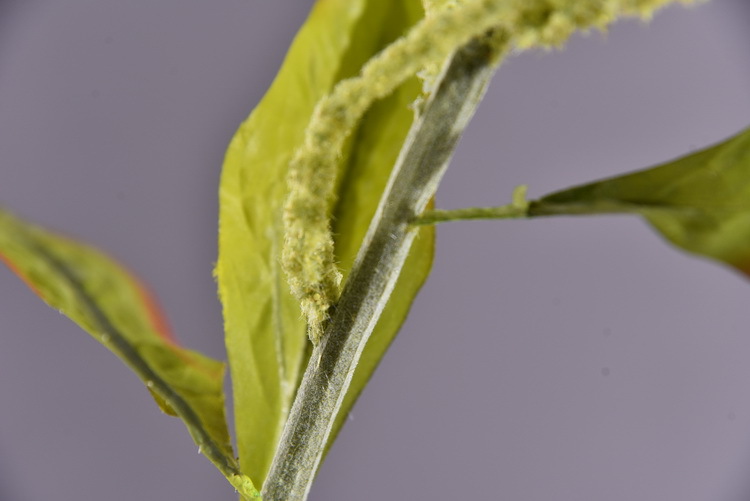 Dongli Yiwu Source Quality Products, high-end artificial flowers, hanging chicken tail tassels wholesale, artificial reeds, artificial flowers, artificial green plants, mouse tail model house home decorations pic 23