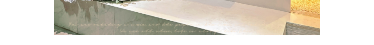 单支手感绒布仿真玫瑰花玫瑰瀑布情人节婚礼花束插花花墙装饰假花详情25