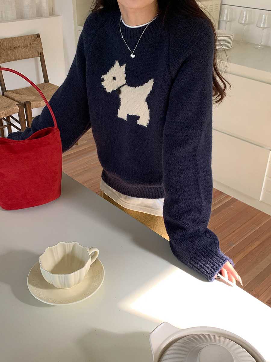 3th Morning North Island Park Korean Style Youthful Dog Embroidered Round Neck Pullover Sweater ZY2381 pic 75