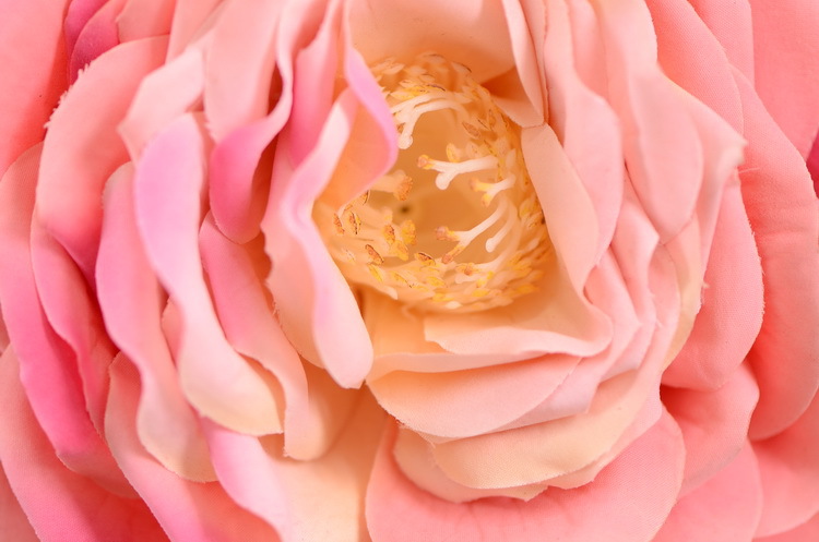 Dongli Flower Industry, the source factory, wholesals high-end artificial flowers, anti-real flowers, living room decoration, life-sized royal roses, and light luxury home floral art ornaments pic 13