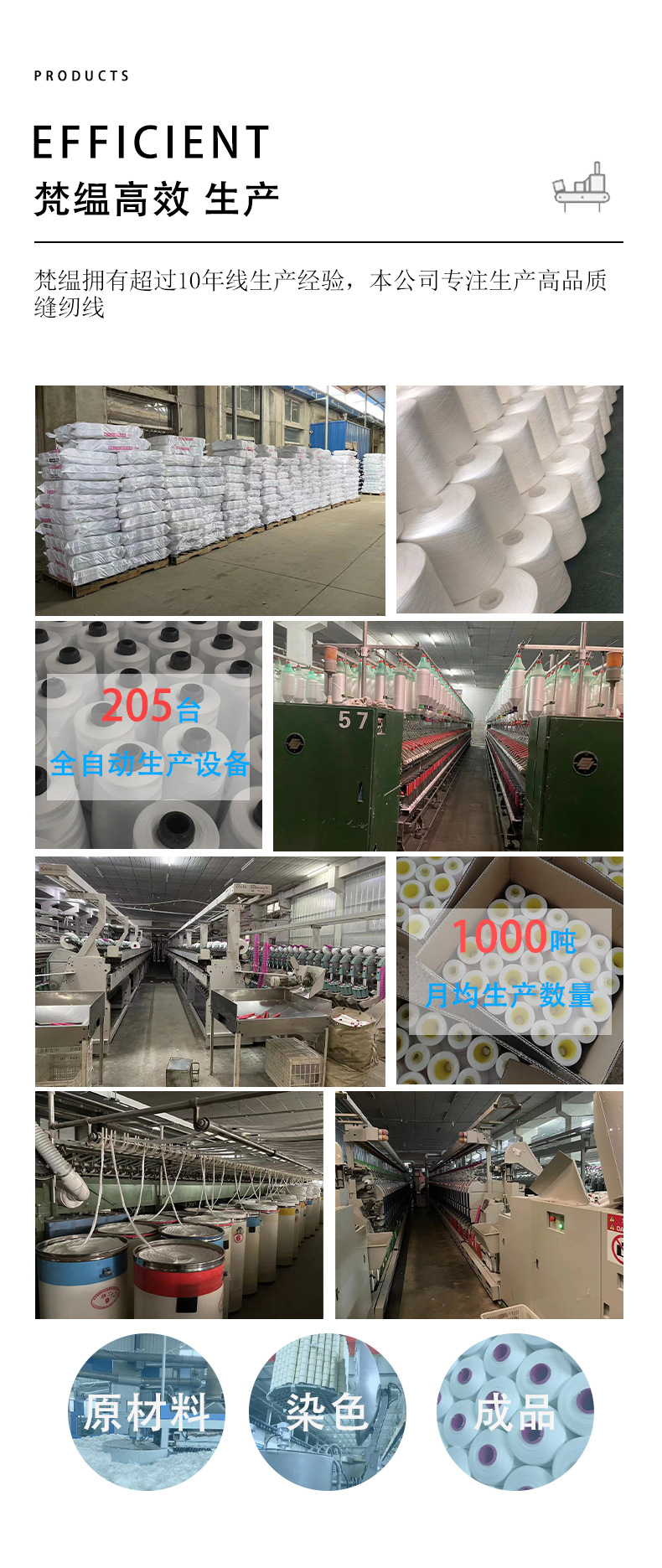203---2500_12