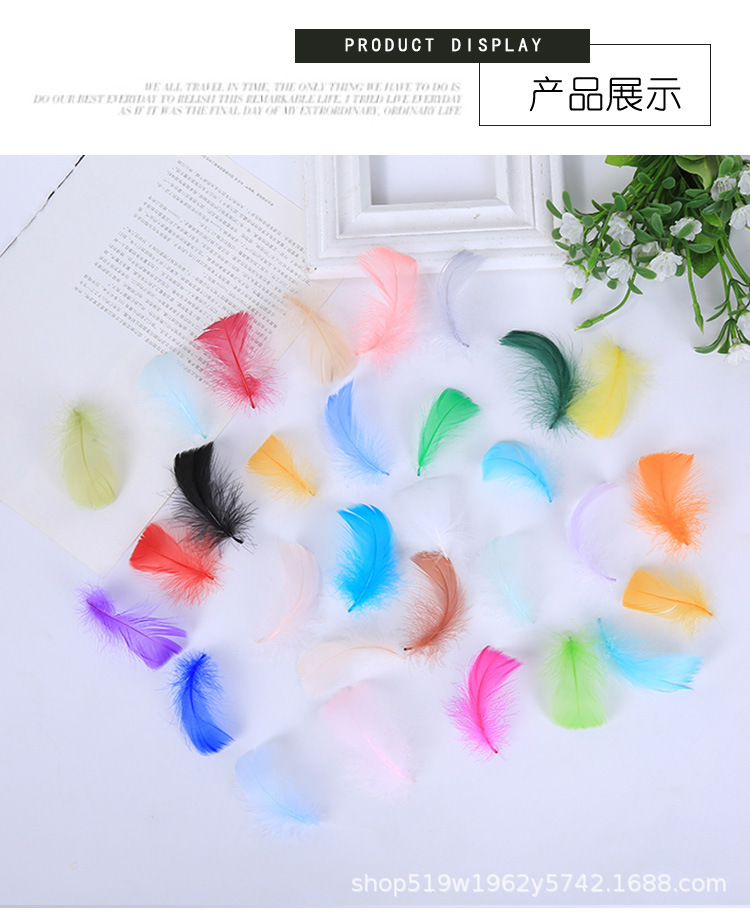 厂家直销优质天鹅毛 DIY彩色小飘羽毛 舞台服饰装饰辅料羽毛批发详情5
