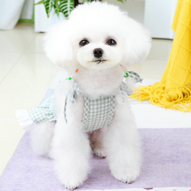 春夏新款宠物衣服彩扣花边裙中小型犬可爱时尚狗狗衣服服饰详情9
