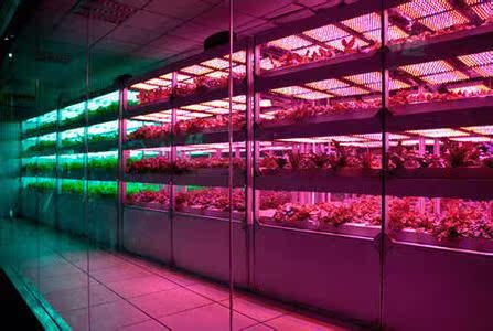 Full-spectrum LED144*3W plant growth lamp, greenhouse coral growth lamp pic 10