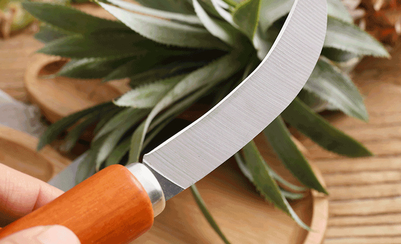 Stainless steel fruit pineapple knife, sharp wooden handle, small curved banana knife, fruit and vegetable peeler pic 9