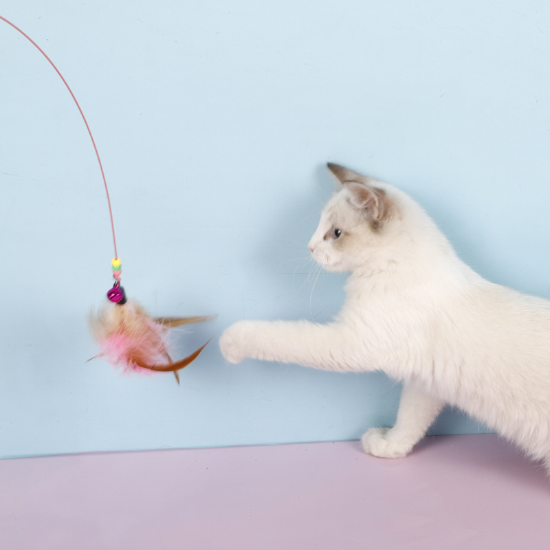 Wholesale of cat teaser sticks, caterpillar cat toys, steel wire feather cat teaser sticks, interactive cat play steel wire toy products pic 16